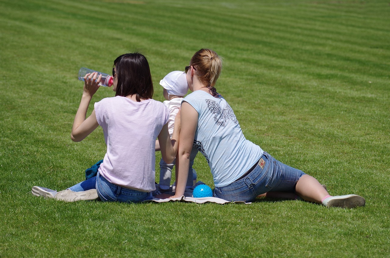 Fort Myers Tree Services Cost